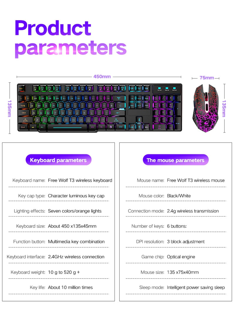 Keyboard and Mouse (USB Wireless)
