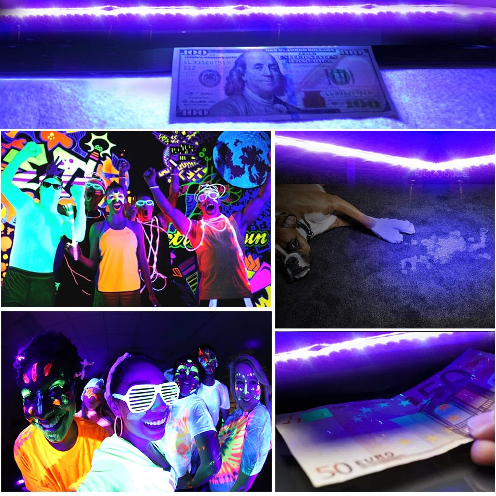 UV LED Strip