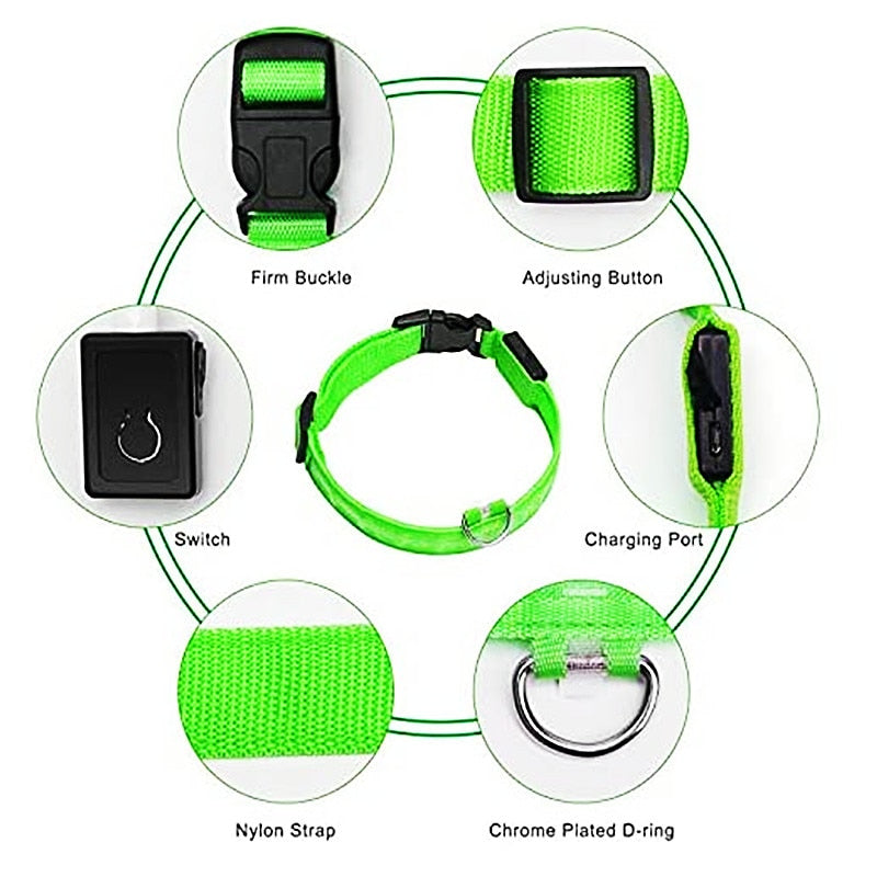 Luminous LED Pet Collar