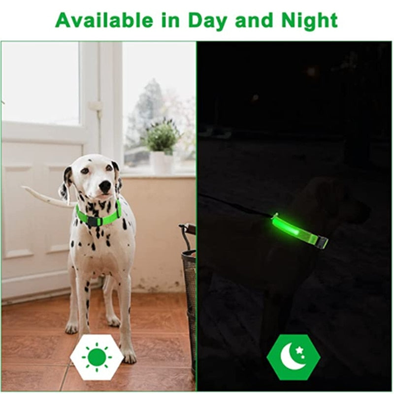 Luminous LED Pet Collar