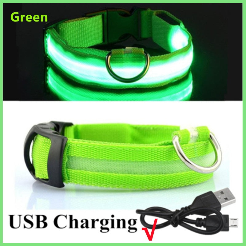 Luminous LED Pet Collar