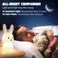 Bunny Night Light