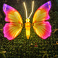 🦋🌈✨️3D LED Butterfly Night Light Handmade 40 45 50cm 60cm Large Park Light Decoration for gifts or wherever you desire at your home