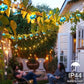 Christmas Solar Morning Glory Led Lights Outdoor Waterproof Solar Fairy String Christmas Decoration for Gardens Home