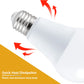 LED RGB Light Bulb