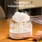 Rain Cloud Raindrop Diffuser
