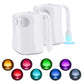 Toilet Motion Sensor Light