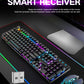 Keyboard and Mouse (USB Wireless)