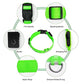 Luminous LED Pet Collar