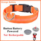 Luminous LED Pet Collar