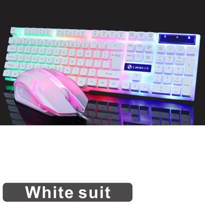 Keyboard and Mouse (Wired)